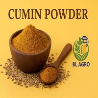 NON ROASTED CUMIN POWDER 